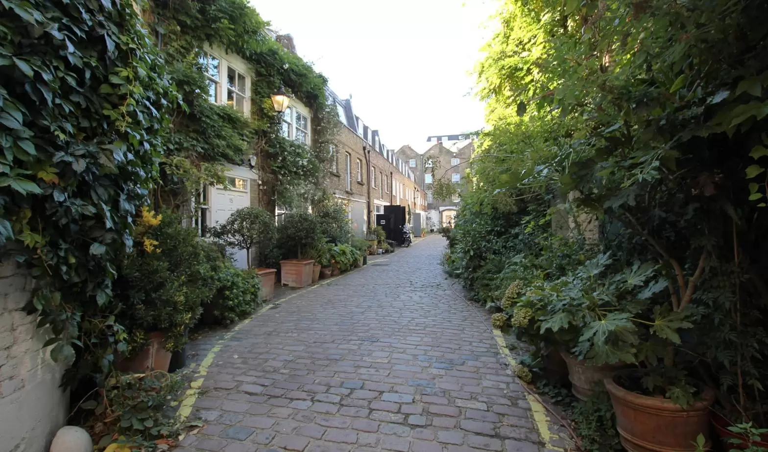 paved lane in London