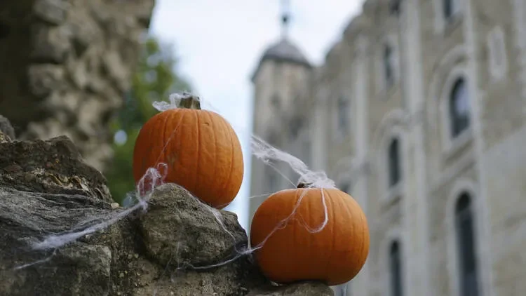 two pumpkins